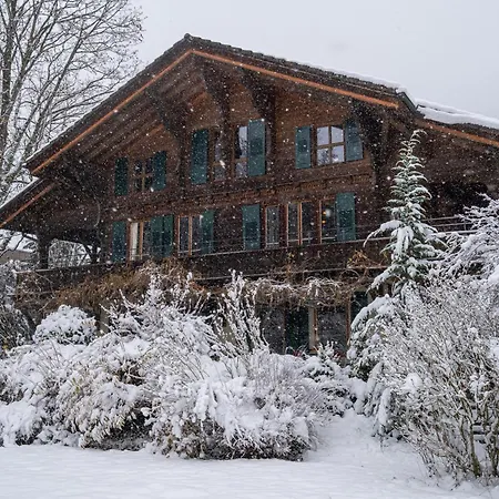 Verve 3* إنترلاكن