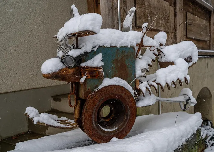 فندق مبيت وإفطار Verve إنترلاكن